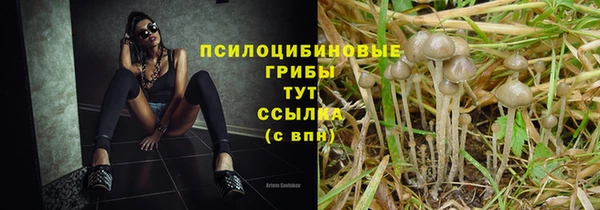 винт Белоозёрский