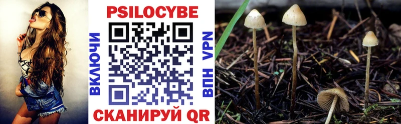 Псилоцибиновые грибы мухоморы  blacksprut   Шебекино 